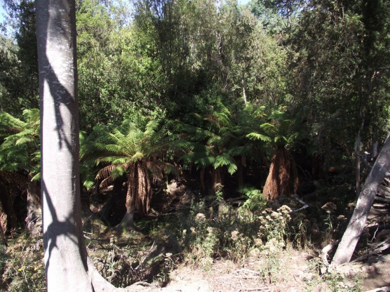 . Judds Hill Road and Costains Road, Geeveston TAS 7116