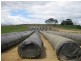 1169 Lapoinya Road, Milabena TAS 7325