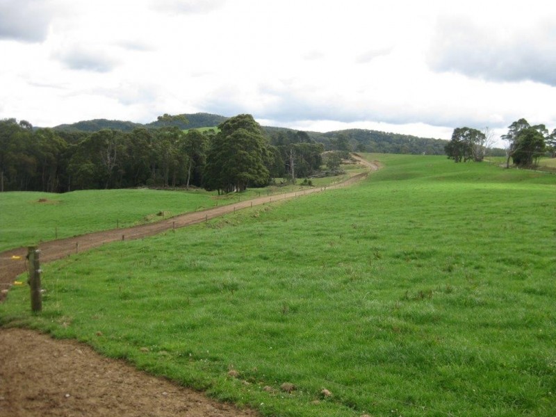 1169 Lapoinya Road, Milabena TAS 7325