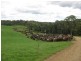 1169 Lapoinya Road, Milabena TAS 7325