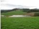 1169 Lapoinya Road, Milabena TAS 7325