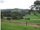 1169 Lapoinya Road, Milabena TAS 7325