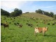 1432 Trowutta Road, Edith Creek TAS 7330