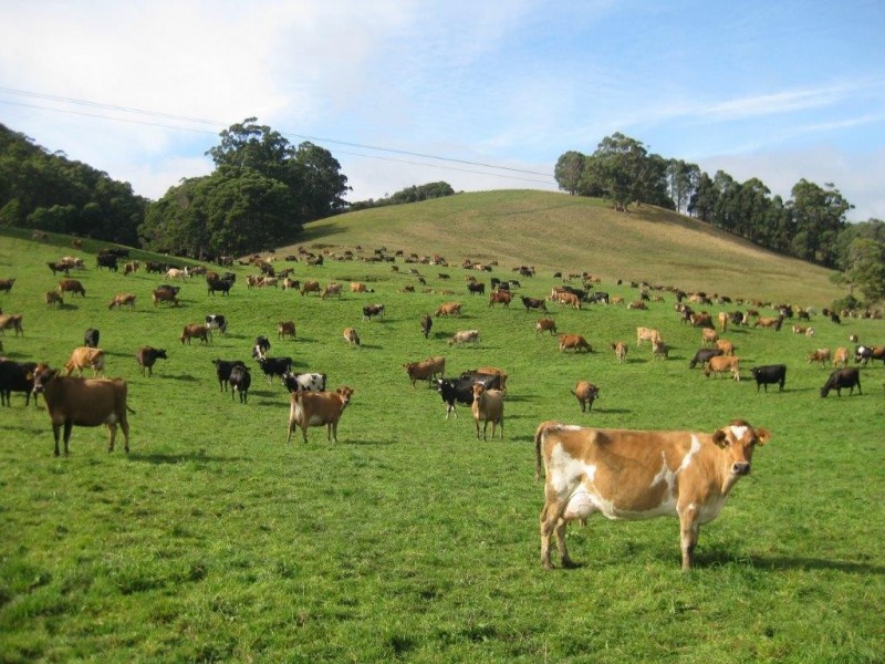 1432 Trowutta Road, Edith Creek TAS 7330