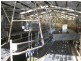 1432 Trowutta Road, Edith Creek TAS 7330