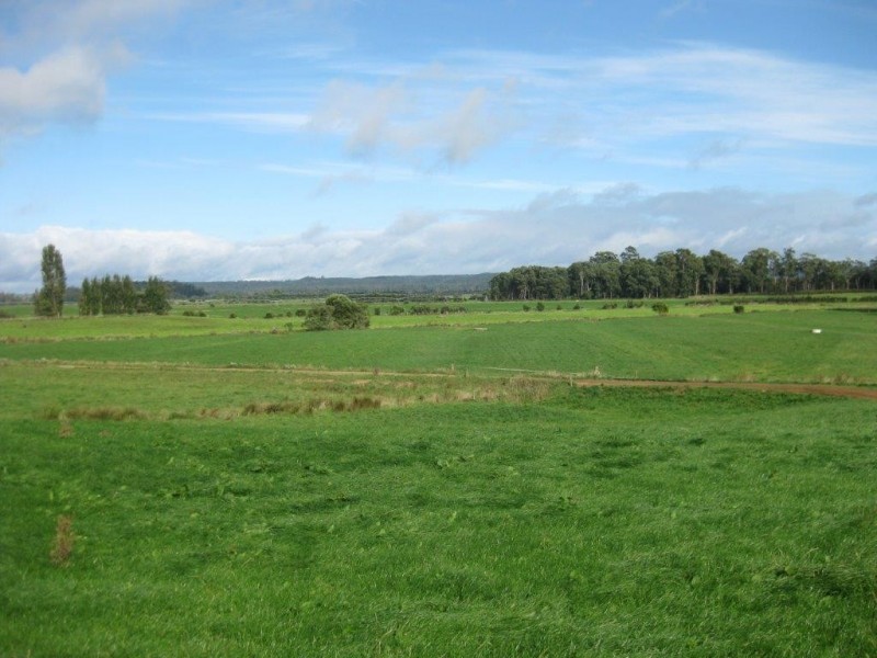 1432 Trowutta Road, Edith Creek TAS 7330
