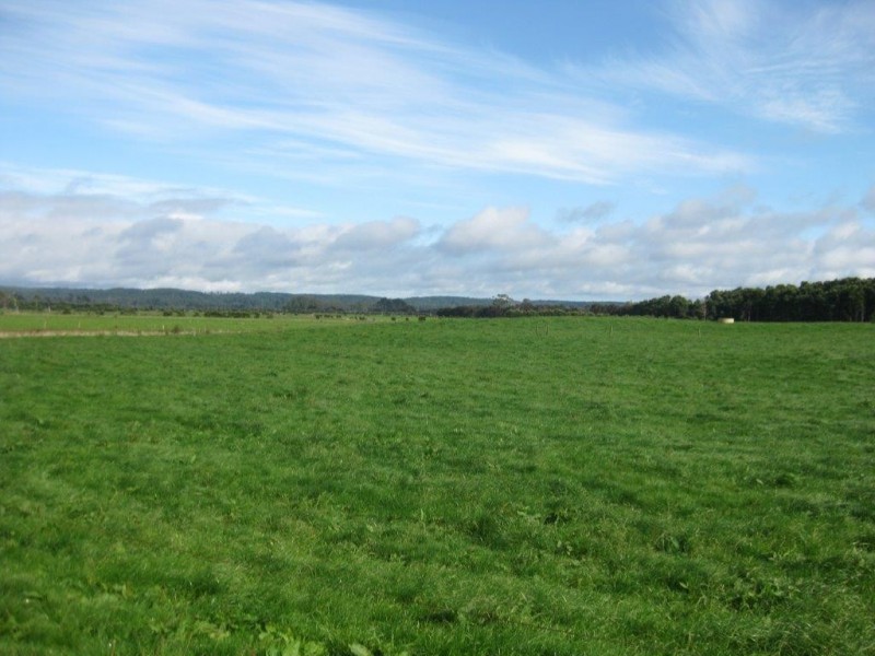 1432 Trowutta Road, Edith Creek TAS 7330