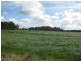 1432 Trowutta Road, Edith Creek TAS 7330