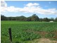 980 and 952 Myalla Road 103 Hawleys Road Myalla and Hawleys Rd, Milabena TAS 7325