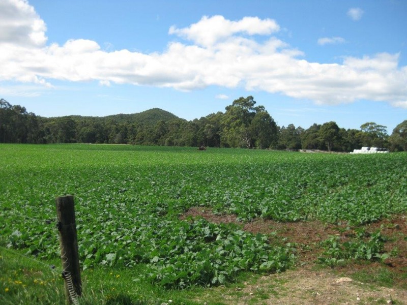 980 and 952 Myalla Road 103 Hawleys Road Myalla and Hawleys Rd, Milabena TAS 7325