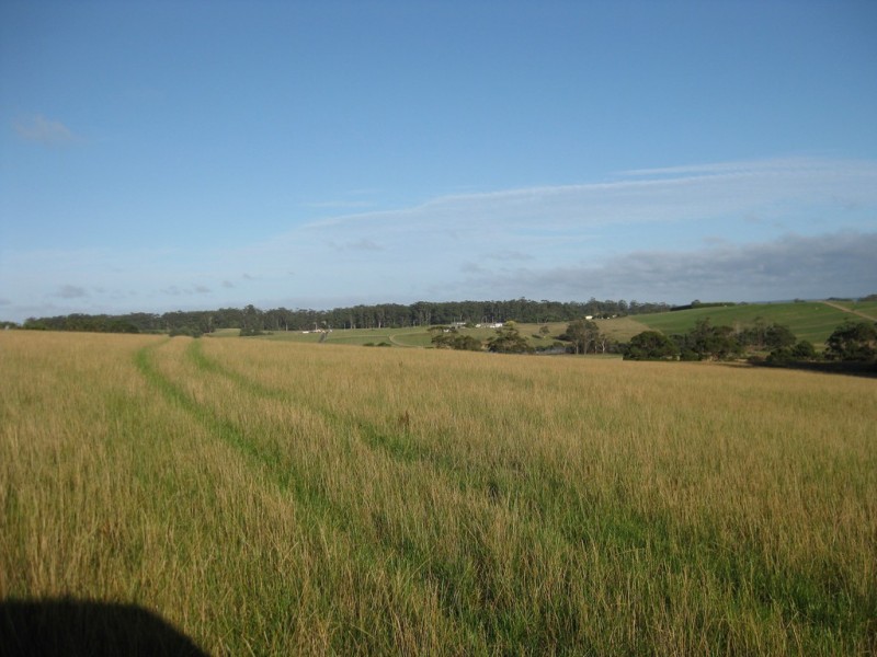 16 Amos Road, Irishtown TAS 7330