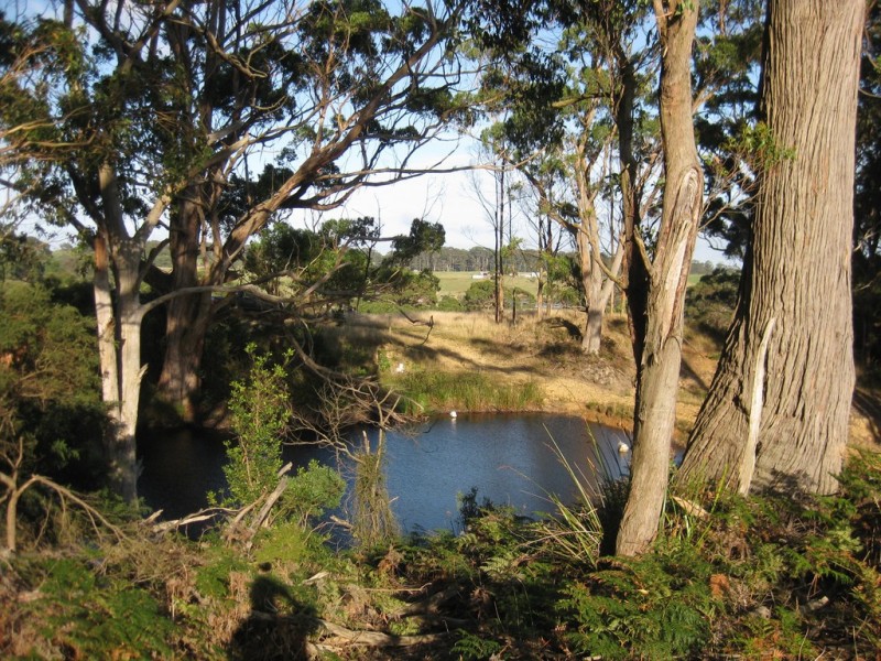 16 Amos Road, Irishtown TAS 7330