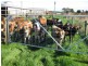 23430 Bass Highway, Broadmeadows TAS 7330