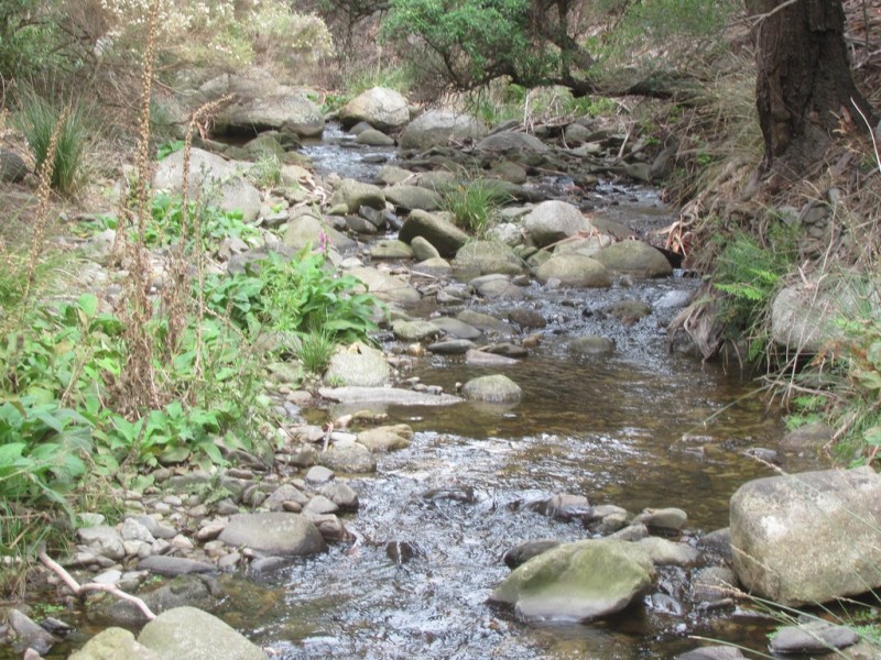 330 Kohls Road, Pyengana TAS 7216