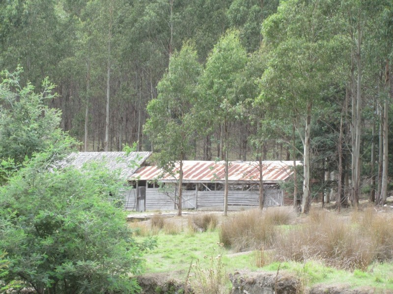 330 Kohls Road, Pyengana TAS 7216