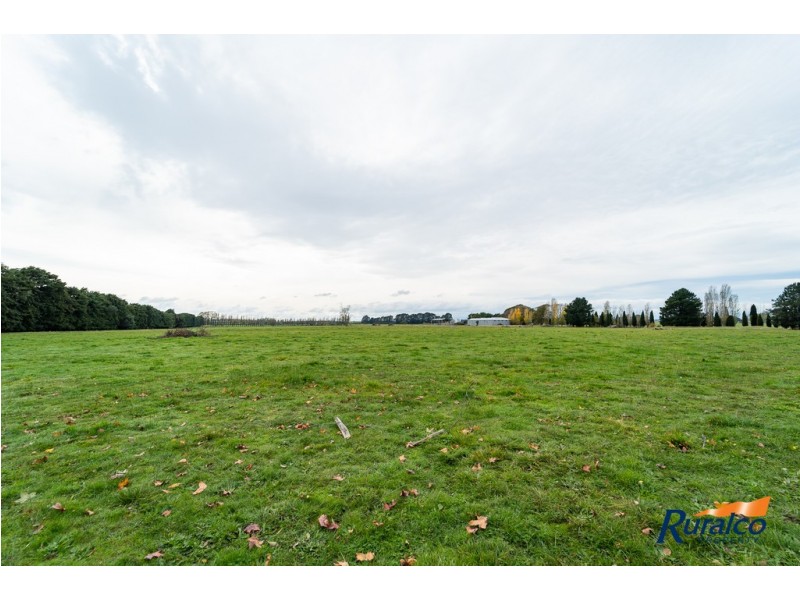 358 Elphinstone Road, Cressy TAS 7302