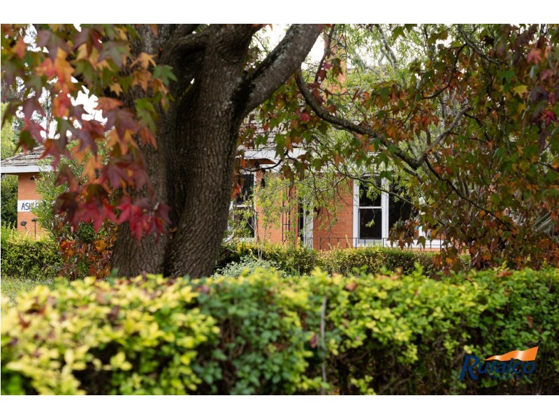 358 Elphinstone Road, Cressy TAS 7302