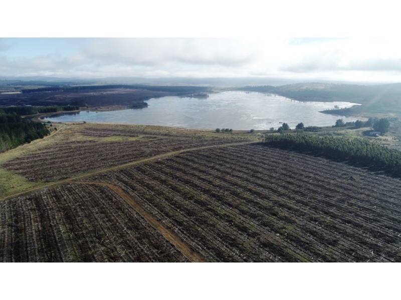 . Stonehenge Road, Stonehenge TAS 7120