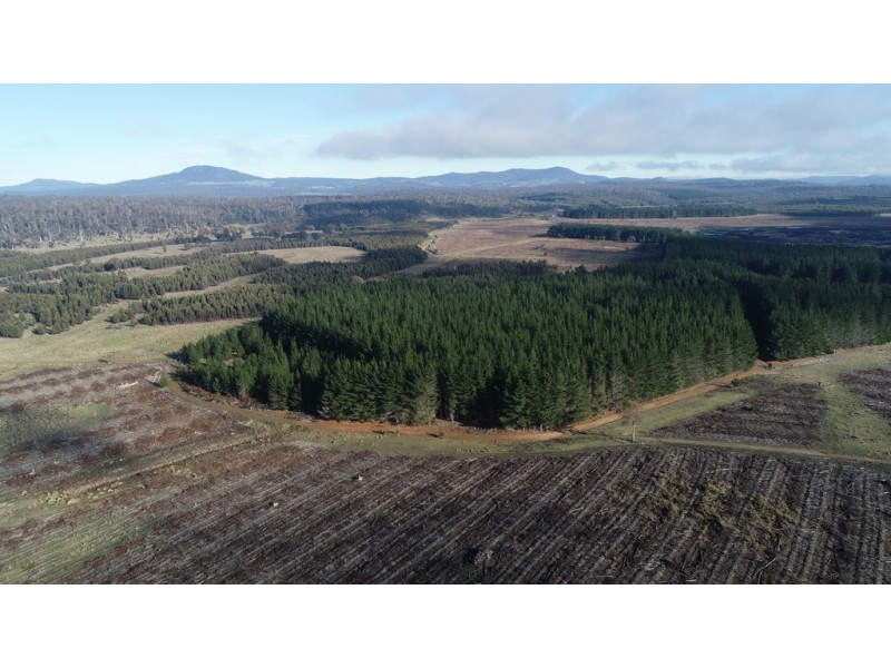 . Stonehenge Road, Stonehenge TAS 7120