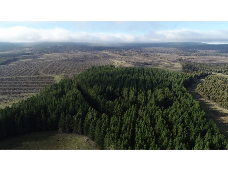 . Stonehenge Road, Stonehenge TAS 7120