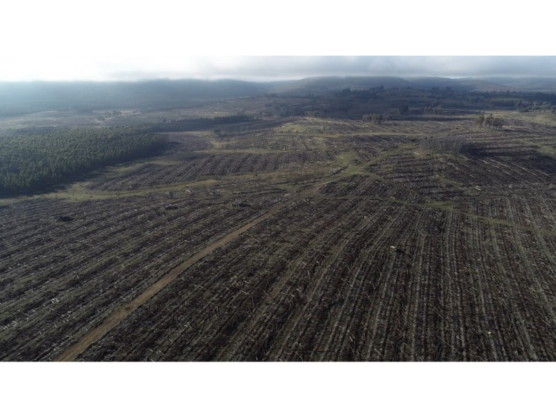 . Stonehenge Road, Stonehenge TAS 7120