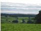36 Reids Road, Irishtown TAS 7330