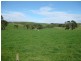 36 Reids Road, Irishtown TAS 7330