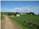 36 Reids Road, Irishtown TAS 7330