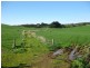 36 Reids Road, Irishtown TAS 7330