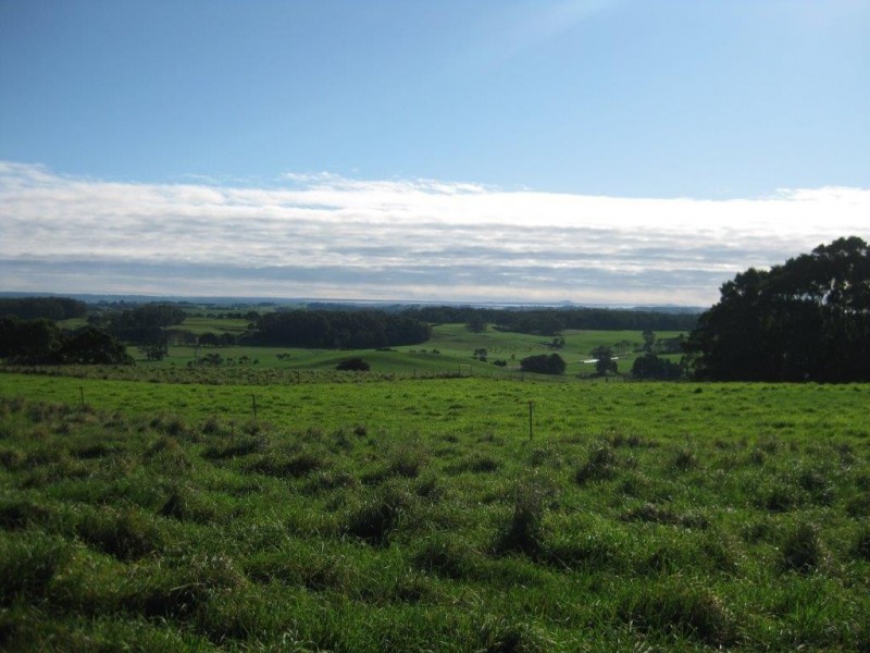 36 Reids Road, Irishtown TAS 7330