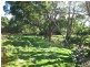 36 Reids Road, Irishtown TAS 7330