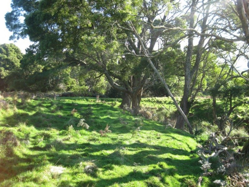 36 Reids Road, Irishtown TAS 7330