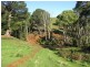 36 Reids Road, Irishtown TAS 7330