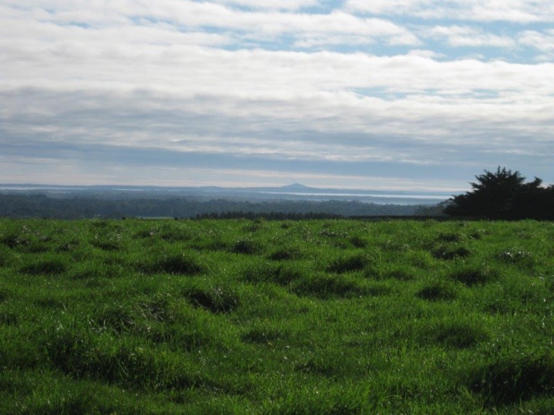 132 Upper Scotchtown Road, Scotchtown TAS 7330