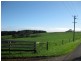 132 Upper Scotchtown Road, Scotchtown TAS 7330