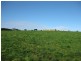132 Upper Scotchtown Road, Scotchtown TAS 7330