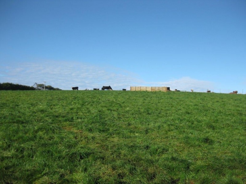 132 Upper Scotchtown Road, Scotchtown TAS 7330