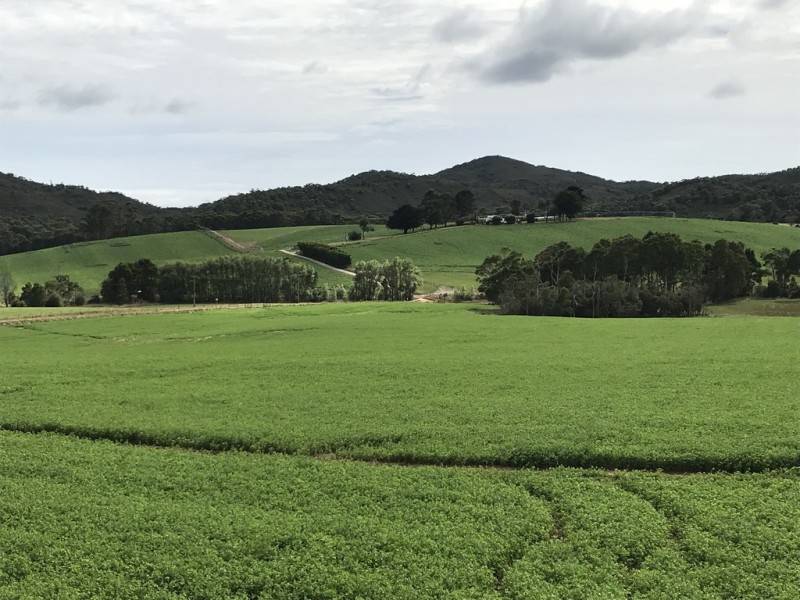 18784 Bass Highway, Montumana TAS 7321