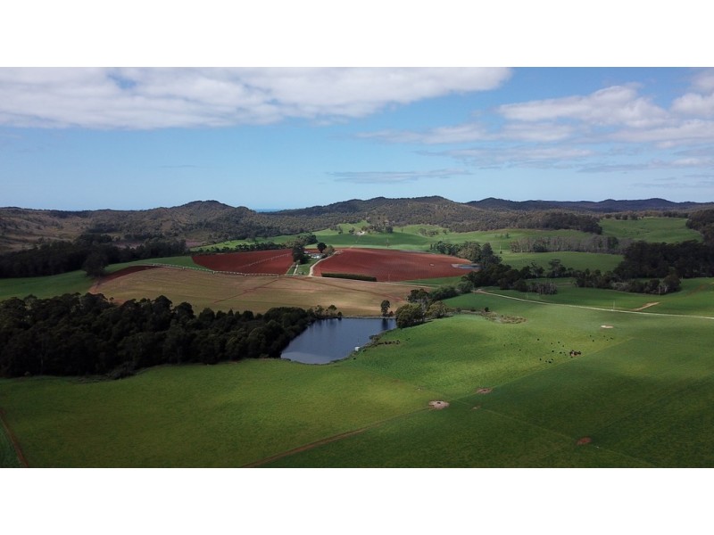 18784 Bass Highway, Montumana TAS 7321