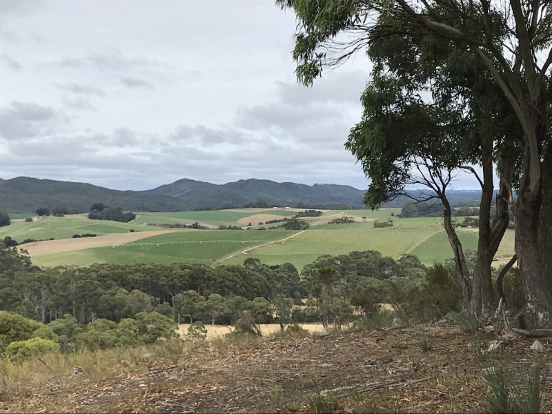 18784 Bass Highway, Montumana TAS 7321