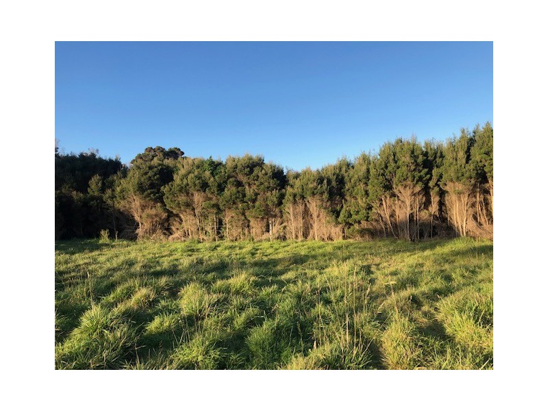 106 Main Street, Currie TAS 7256