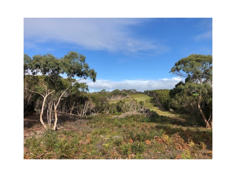 87 Martha Lavinia Road, Egg Lagoon TAS 7256