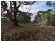 87 Martha Lavinia Road, Egg Lagoon TAS 7256