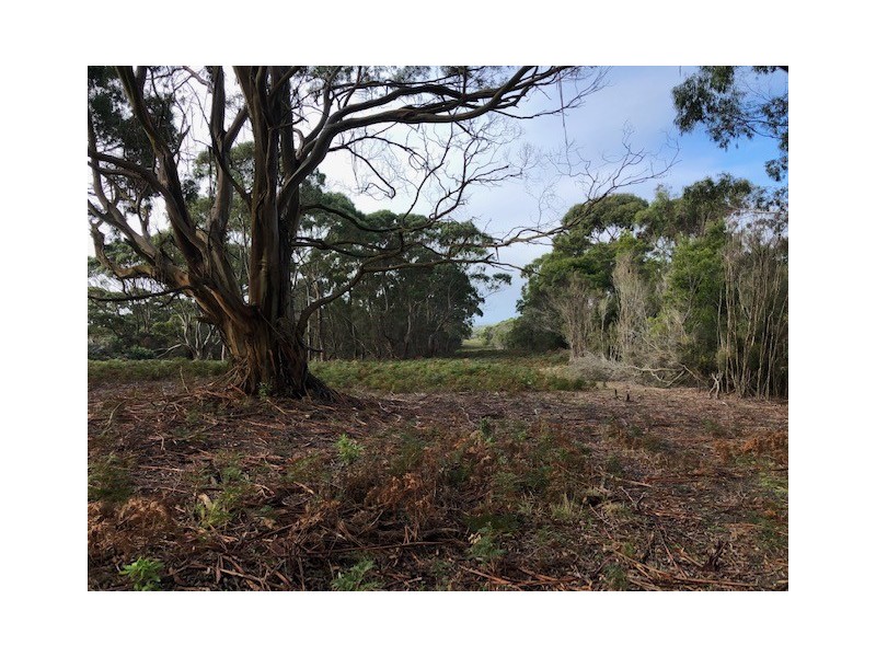 87 Martha Lavinia Road, Egg Lagoon TAS 7256