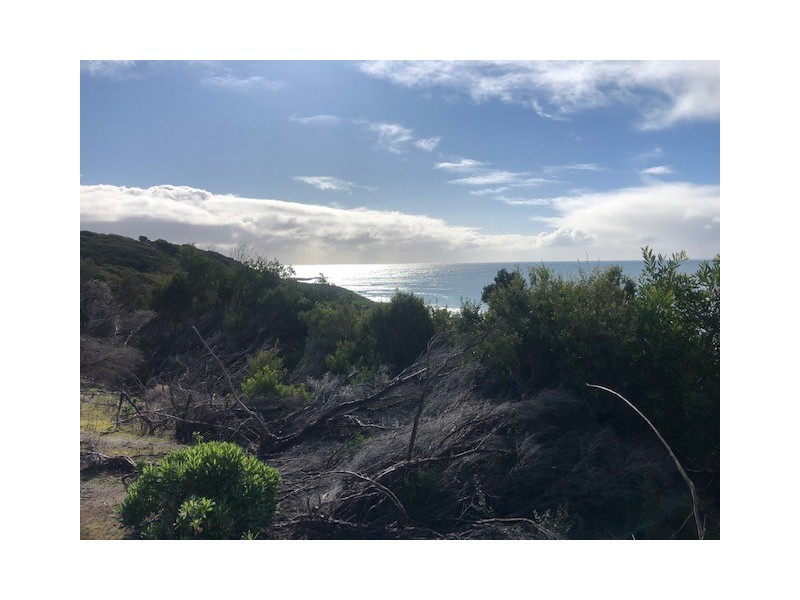 87 Martha Lavinia Road, Egg Lagoon TAS 7256