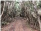 87 Martha Lavinia Road, Egg Lagoon TAS 7256