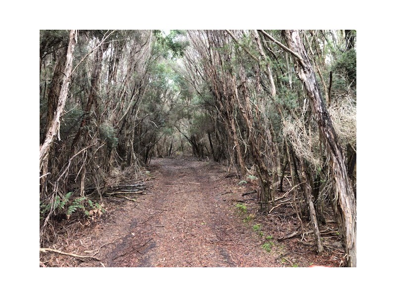 87 Martha Lavinia Road, Egg Lagoon TAS 7256