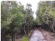 87 Martha Lavinia Road, Egg Lagoon TAS 7256