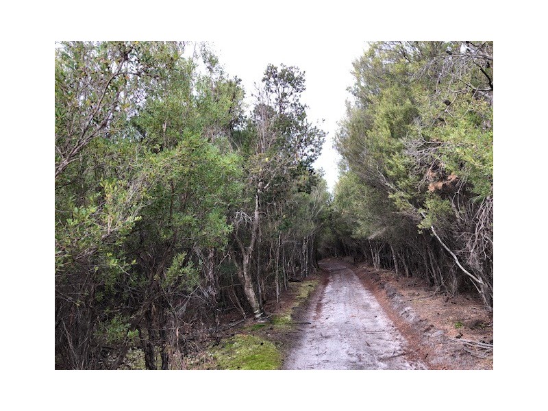 87 Martha Lavinia Road, Egg Lagoon TAS 7256