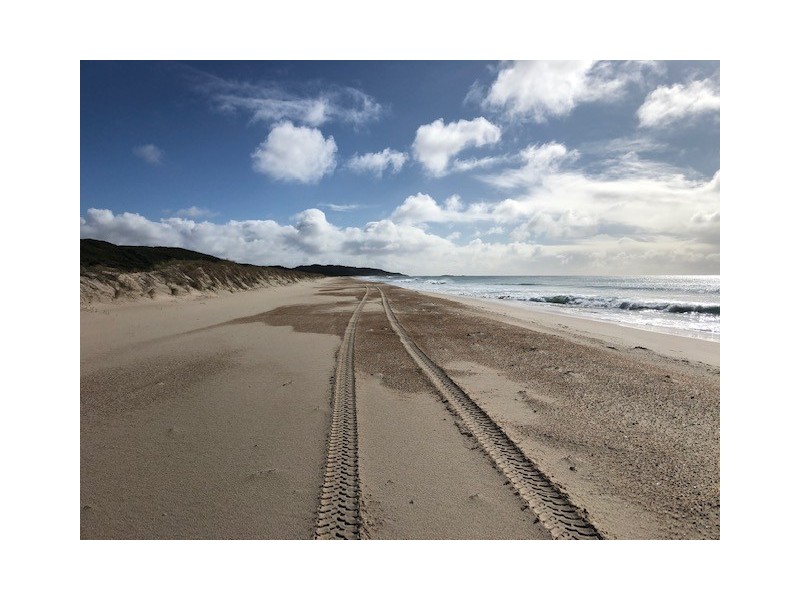 87 Martha Lavinia Road, Egg Lagoon TAS 7256